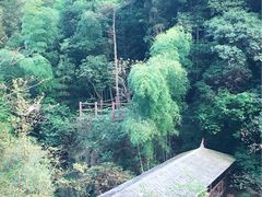 -祁门牯牛降观音堂风景区