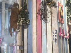 -小时光咖啡馆(开森度假森林店)