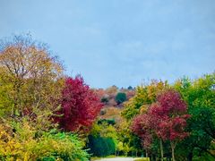 -北京西山国家森林公园