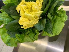 -古乐牛香·鲜牛肉牛杂火锅(千灯店)