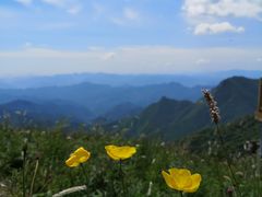 -白草畔自然风景区