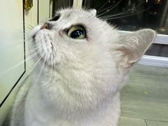 -M.S拳击泰拳馆(大学路店)