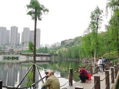 -重庆彩云湖湿地公园