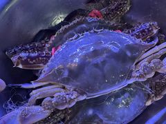 -威海渔村(静安旗舰店)