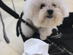 -DQ·蛋糕·冰淇淋(印象城店)
