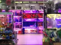 -苏州艺都古玩花鸟市场