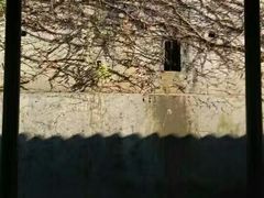 -湖南省立第一师范学校旧址