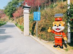 -广州市帽峰山景区