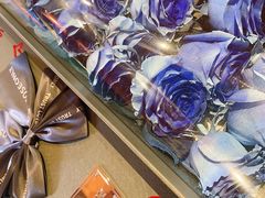 -ROSEONLY诺誓(广州K11店)