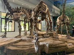 -自贡恐龙博物馆