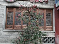 -龙潭水乡