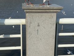 -海埂大坝