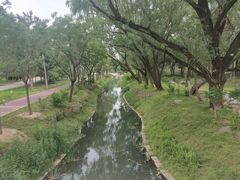 -北坞公园