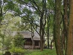 -杭州植物园