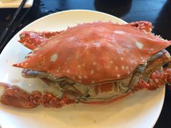 蓝港海鲜厨房(金水路店)-蓝港海鲜厨房(金水路店)