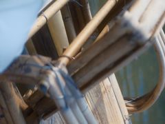 -九曲溪竹筏码头