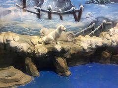 -顺德南宏海立方海洋公园