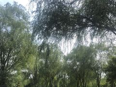 -北坞公园
