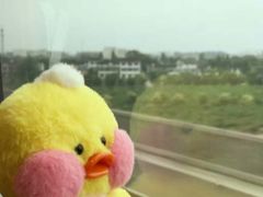 -鼓浪屿内厝澳码头(轮渡站)