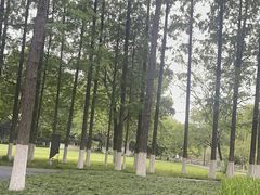 -范蠡湖公园