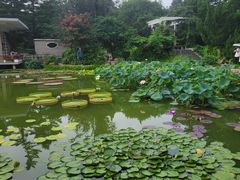 -国家植物园南园