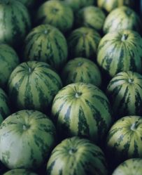 -WAVE SODA摄影工作室