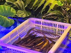 -享遇.锅姥姥牛排海鲜自助(小寨店)