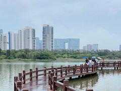 -五缘湾湿地公园