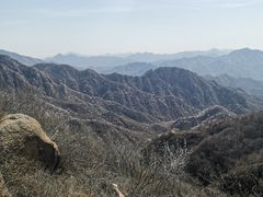 -大岭沟猕猴桃谷风景区