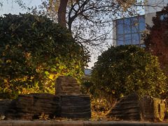 -中家鑫园温泉酒店鑫悦汤泉