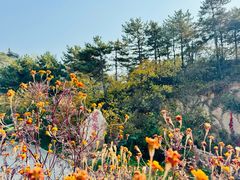 -云峰山自然风景区