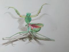 -津艺画室