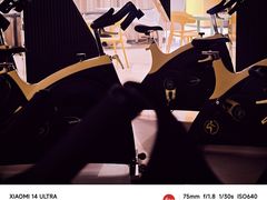 -诺伯曼·运动会馆(新梦店)