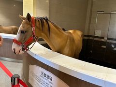 -中国马镇舞马世界主题乐园