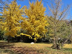 -国家植物园南园