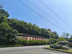 -铁山坪森林公园