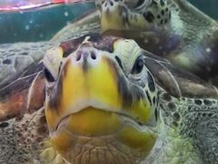 -鸿通城购物中心