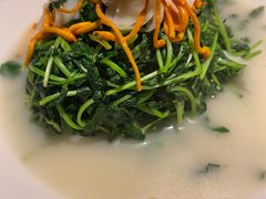 鱼汤豆苗-吴越荣记苏州菜·松鼠桂鱼(月光码头店)
