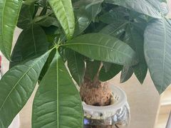 -摩音养生SPA(水湾店)