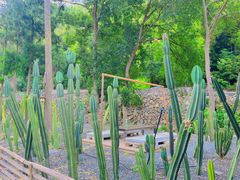 -MOJ coffee(瓯海泽雅水碓坑店)