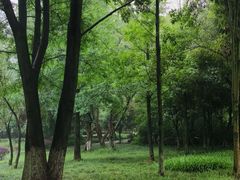 -重庆彩云湖湿地公园