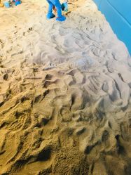 -恐龙探索乐园(磁器口店)