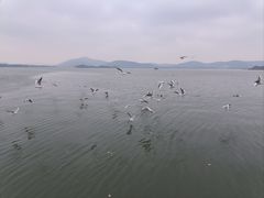 -蠡湖大桥公园