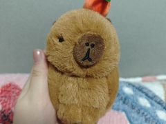 -太二酸菜鱼(上海佛罗伦萨小镇店)