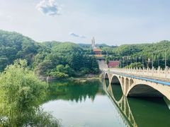 -中原大佛景区