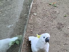-上海野生动物园