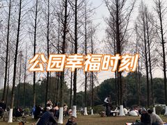 -成都南湖公园