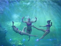 -多彩贵州城极地海洋世界