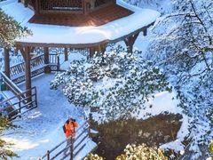 -瓦屋山景区
