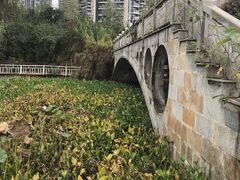 景点-三圣花乡旅游区